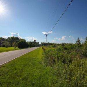 Photo of 297 Acres of Timber and Hunting Land For Sale in Gates County NC and Suffolk VA!