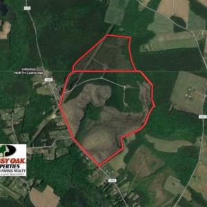 Photo of 297 Acres of Timber and Hunting Land For Sale in Gates County NC and Suffolk VA!