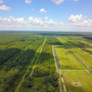 Photo of 564 Acres of Hunting Land For Sale in Hyde County NC!
