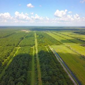 Photo of 564 Acres of Hunting Land For Sale in Hyde County NC!
