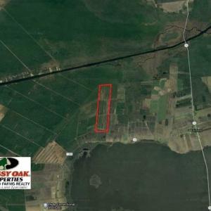 Photo of 564 Acres of Hunting Land For Sale in Hyde County NC!