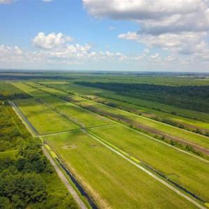 Photo of 564 Acres of Hunting Land For Sale in Hyde County NC!