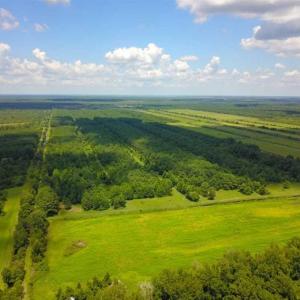 Photo of 564 Acres of Hunting Land For Sale in Hyde County NC!