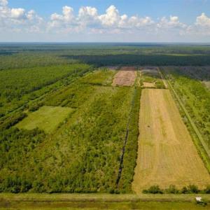 Photo of 564 Acres of Hunting Land For Sale in Hyde County NC!