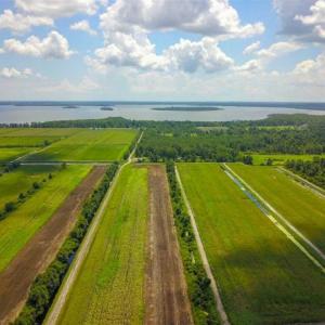 Photo of 564 Acres of Hunting Land For Sale in Hyde County NC!