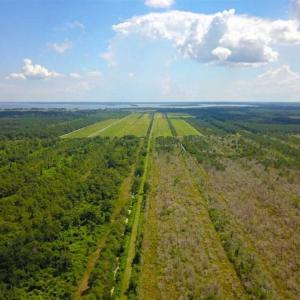 Photo of 564 Acres of Hunting Land For Sale in Hyde County NC!