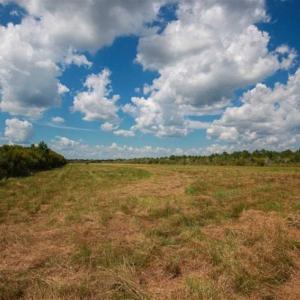 Photo of 564 Acres of Hunting Land For Sale in Hyde County NC!