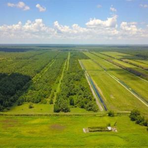 Photo of 564 Acres of Hunting Land For Sale in Hyde County NC!