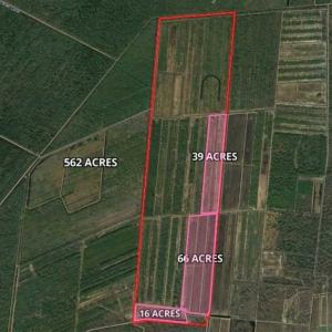 Photo of 564 Acres of Hunting Land For Sale in Hyde County NC!