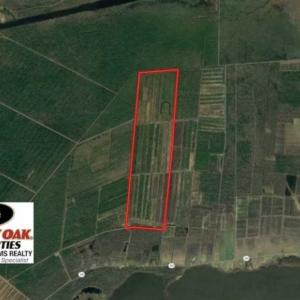 Photo of 564 Acres of Hunting Land For Sale in Hyde County NC!