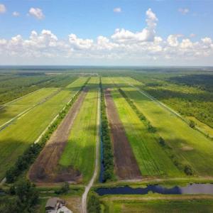 Photo of 564 Acres of Hunting Land For Sale in Hyde County NC!