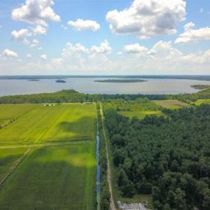 Photo of 564 Acres of Hunting Land For Sale in Hyde County NC!