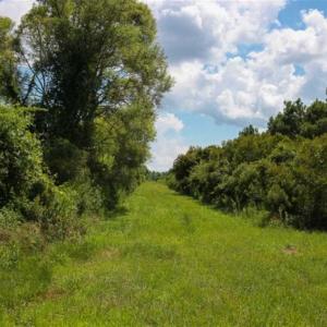 Photo of 564 Acres of Hunting Land For Sale in Hyde County NC!