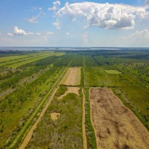 Photo of 564 Acres of Hunting Land For Sale in Hyde County NC!