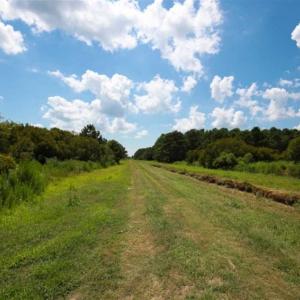 Photo of 564 Acres of Hunting Land For Sale in Hyde County NC!