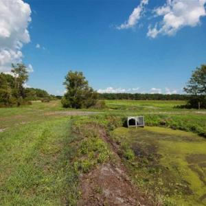 Photo of 564 Acres of Hunting Land For Sale in Hyde County NC!