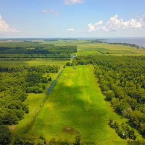 Photo of 564 Acres of Hunting Land For Sale in Hyde County NC!
