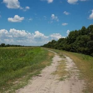 Photo of 564 Acres of Hunting Land For Sale in Hyde County NC!