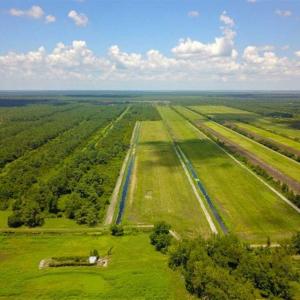 Photo of 564 Acres of Hunting Land For Sale in Hyde County NC!