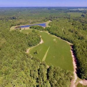 Photo of 200 Acres of Hunting Timberland and Agriculture Land For Sale with Pond in Warren County NC!