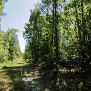 Photo of 200 Acres of Hunting Timberland and Agriculture Land For Sale with Pond in Warren County NC!