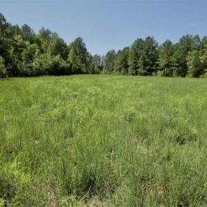 Photo of 200 Acres of Hunting Timberland and Agriculture Land For Sale with Pond in Warren County NC!