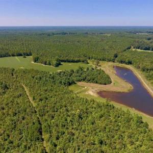 Photo of 200 Acres of Hunting Timberland and Agriculture Land For Sale with Pond in Warren County NC!