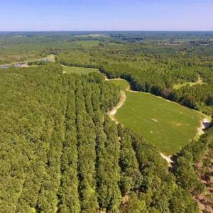 Photo of 200 Acres of Hunting Timberland and Agriculture Land For Sale with Pond in Warren County NC!