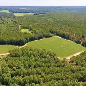 Photo of 200 Acres of Hunting Timberland and Agriculture Land For Sale with Pond in Warren County NC!