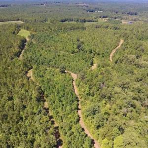 Photo of 200 Acres of Hunting Timberland and Agriculture Land For Sale with Pond in Warren County NC!