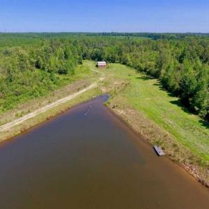 Photo of 200 Acres of Hunting Timberland and Agriculture Land For Sale with Pond in Warren County NC!