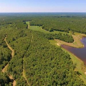 Photo of 200 Acres of Hunting Timberland and Agriculture Land For Sale with Pond in Warren County NC!