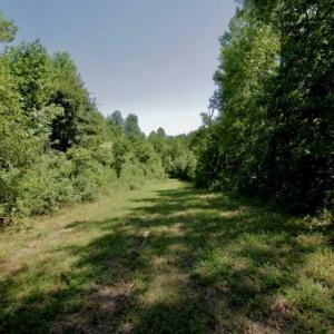 Photo of 200 Acres of Hunting Timberland and Agriculture Land For Sale with Pond in Warren County NC!