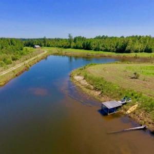 Photo of 200 Acres of Hunting Timberland and Agriculture Land For Sale with Pond in Warren County NC!