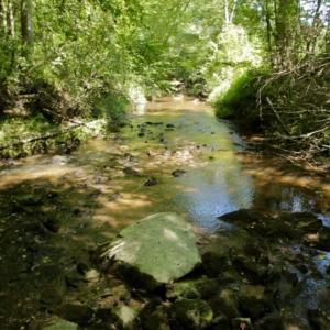 Photo of 200 Acres of Hunting Timberland and Agriculture Land For Sale with Pond in Warren County NC!