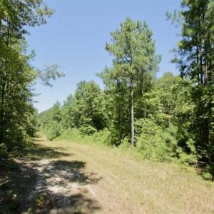 Photo of 200 Acres of Hunting Timberland and Agriculture Land For Sale with Pond in Warren County NC!