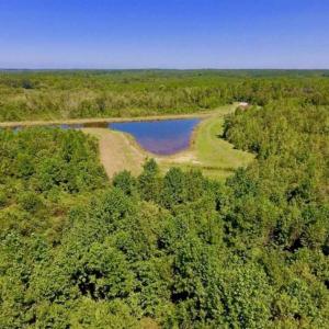 Photo of 200 Acres of Hunting Timberland and Agriculture Land For Sale with Pond in Warren County NC!