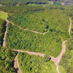 Photo of 200 Acres of Hunting Timberland and Agriculture Land For Sale with Pond in Warren County NC!