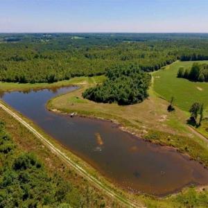Photo of 200 Acres of Hunting Timberland and Agriculture Land For Sale with Pond in Warren County NC!