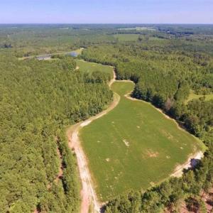 Photo of 200 Acres of Hunting Timberland and Agriculture Land For Sale with Pond in Warren County NC!