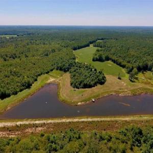 Photo of 200 Acres of Hunting Timberland and Agriculture Land For Sale with Pond in Warren County NC!