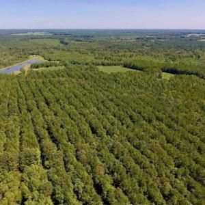 Photo of 200 Acres of Hunting Timberland and Agriculture Land For Sale with Pond in Warren County NC!