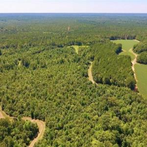 Photo of 200 Acres of Hunting Timberland and Agriculture Land For Sale with Pond in Warren County NC!
