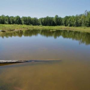 Photo of 200 Acres of Hunting Timberland and Agriculture Land For Sale with Pond in Warren County NC!