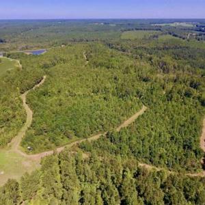 Photo of 200 Acres of Hunting Timberland and Agriculture Land For Sale with Pond in Warren County NC!
