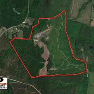 Photo of 200 Acres of Hunting Timberland and Agriculture Land For Sale with Pond in Warren County NC!