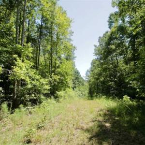 Photo of 200 Acres of Hunting Timberland and Agriculture Land For Sale with Pond in Warren County NC!