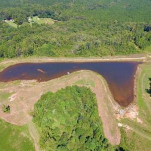 Photo of 200 Acres of Hunting Timberland and Agriculture Land For Sale with Pond in Warren County NC!