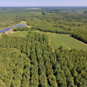 Photo of 200 Acres of Hunting Timberland and Agriculture Land For Sale with Pond in Warren County NC!