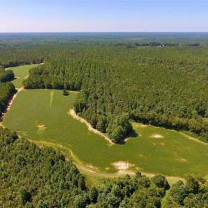 Photo of 200 Acres of Hunting Timberland and Agriculture Land For Sale with Pond in Warren County NC!